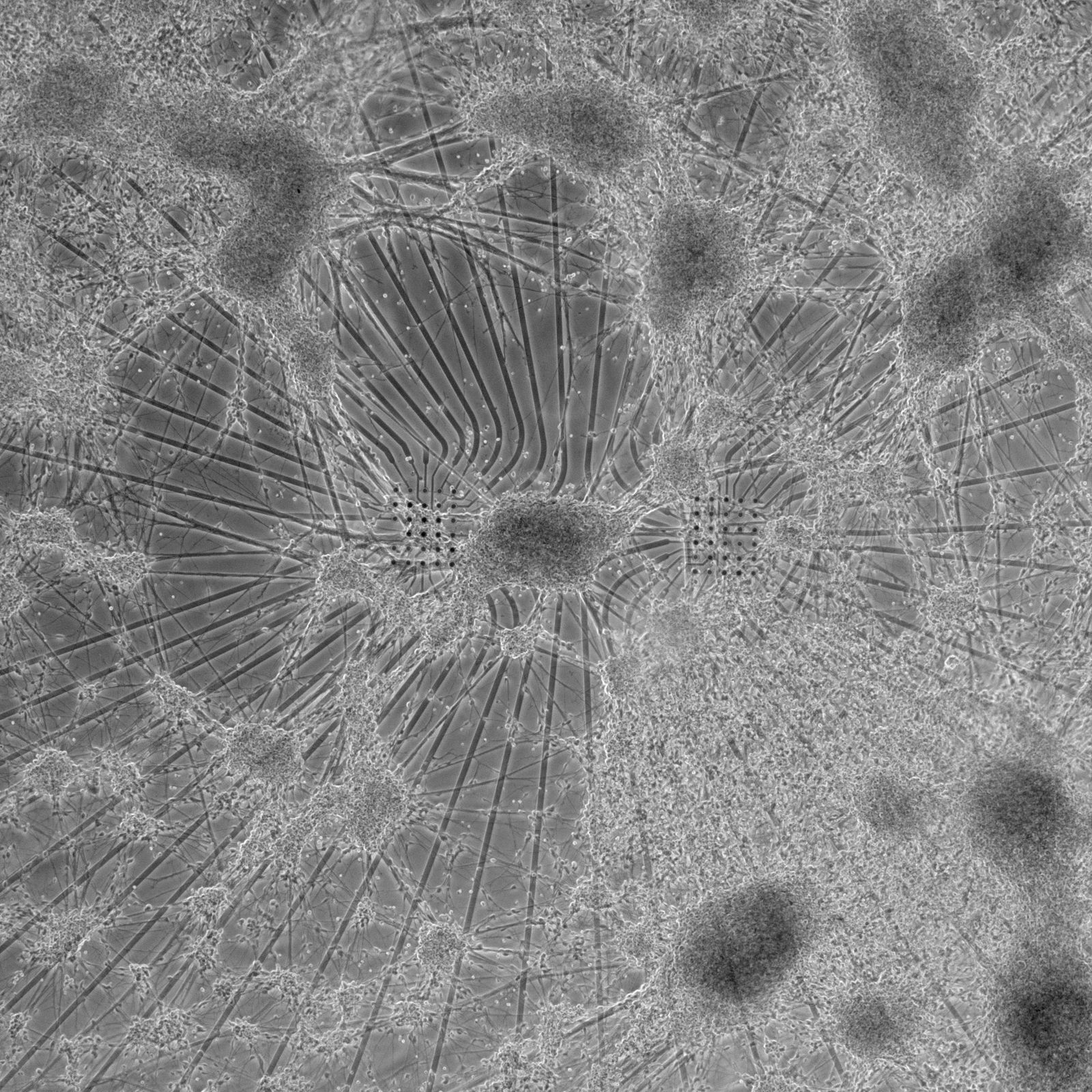 Image may contain Texture Ice Nature Outdoors Weather and Pattern