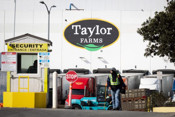 Cyclosporiasis Outbreak Traced To Iceberg Lettuce From Produce Giant Taylor Farms