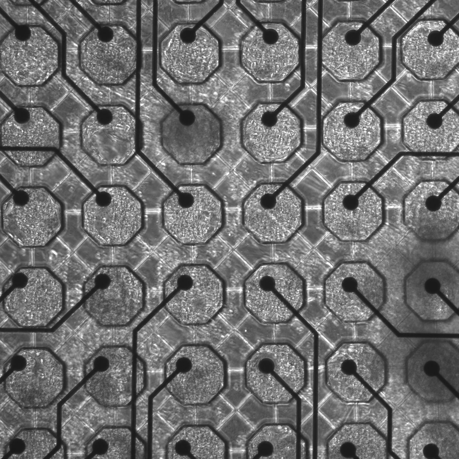 Image may contain Home Decor Pattern Rug and Hole