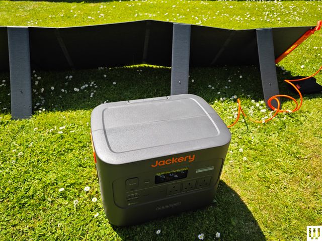 Image may contain: Electronics, Hardware, Computer Hardware, Grass, Plant, Screen, Monitor, and Router