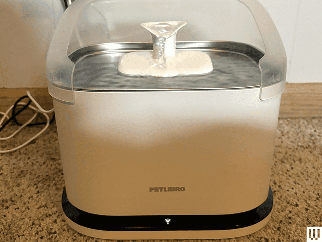 Petlibro Dockstream RFID Smart Fountain, a white rounded rectangular-shaped water fountain with a clear case around the top metallic pan where water gently flows from a spout