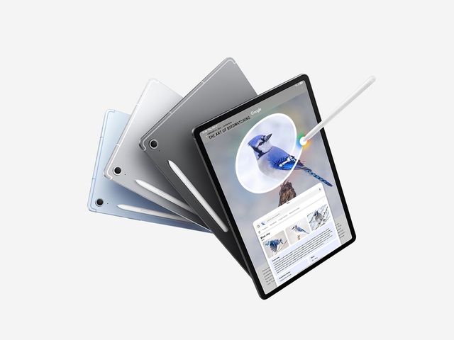 Image may contain: Computer, Electronics, Tablet Computer, Animal, and Bird