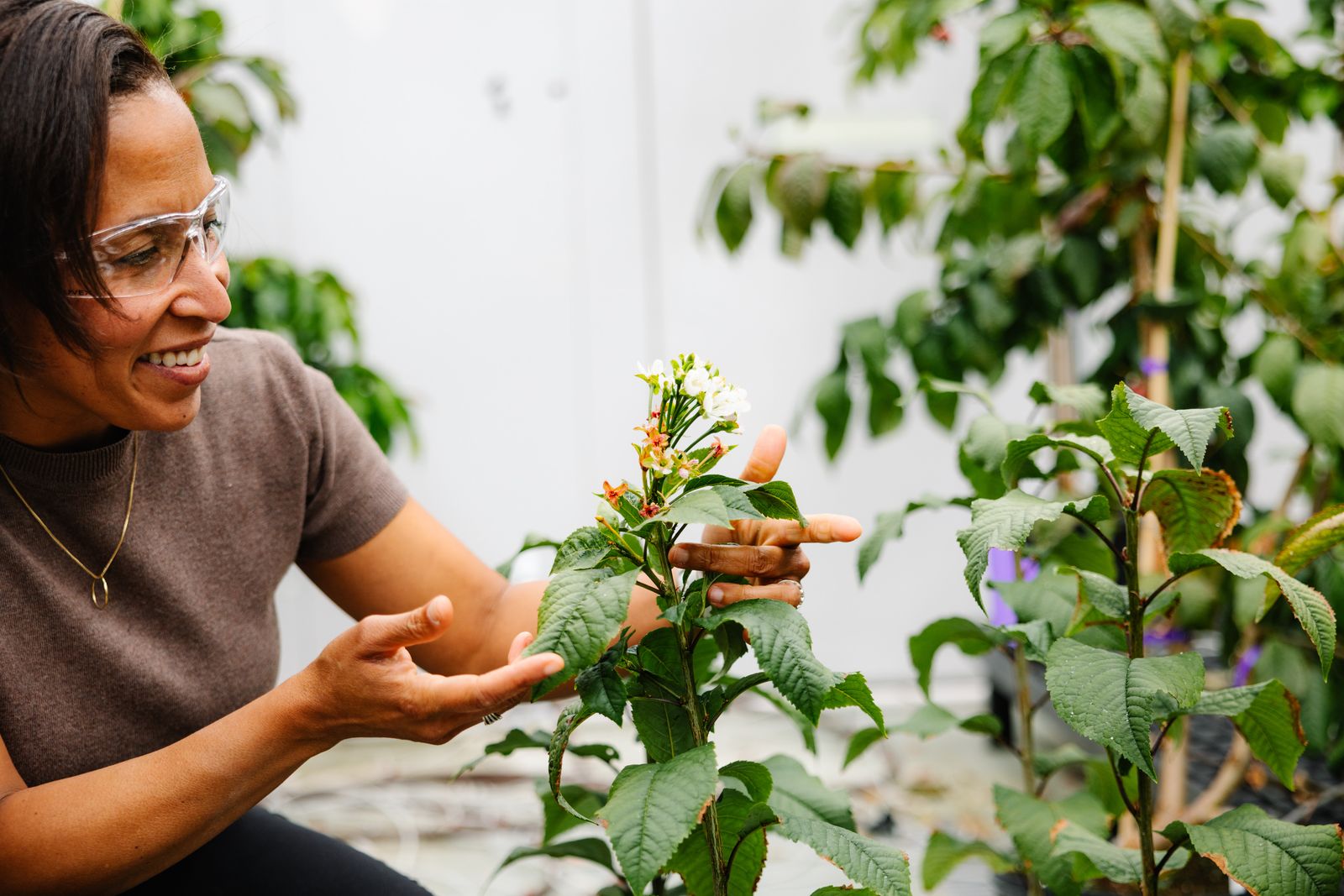 Image may contain Garden Nature Outdoors Gardening Leaf Plant Flower Adult Person Body Part Finger and Hand