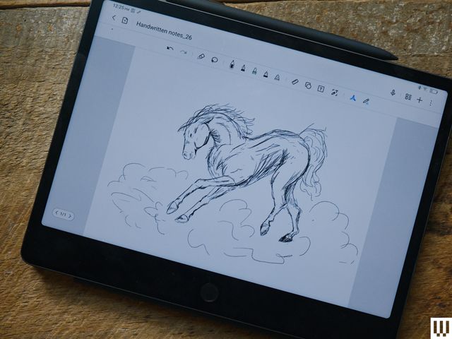 Image may contain: Computer, Electronics, Art, Drawing, Tablet Computer, Animal, Horse, Mammal, and Computer Hardware