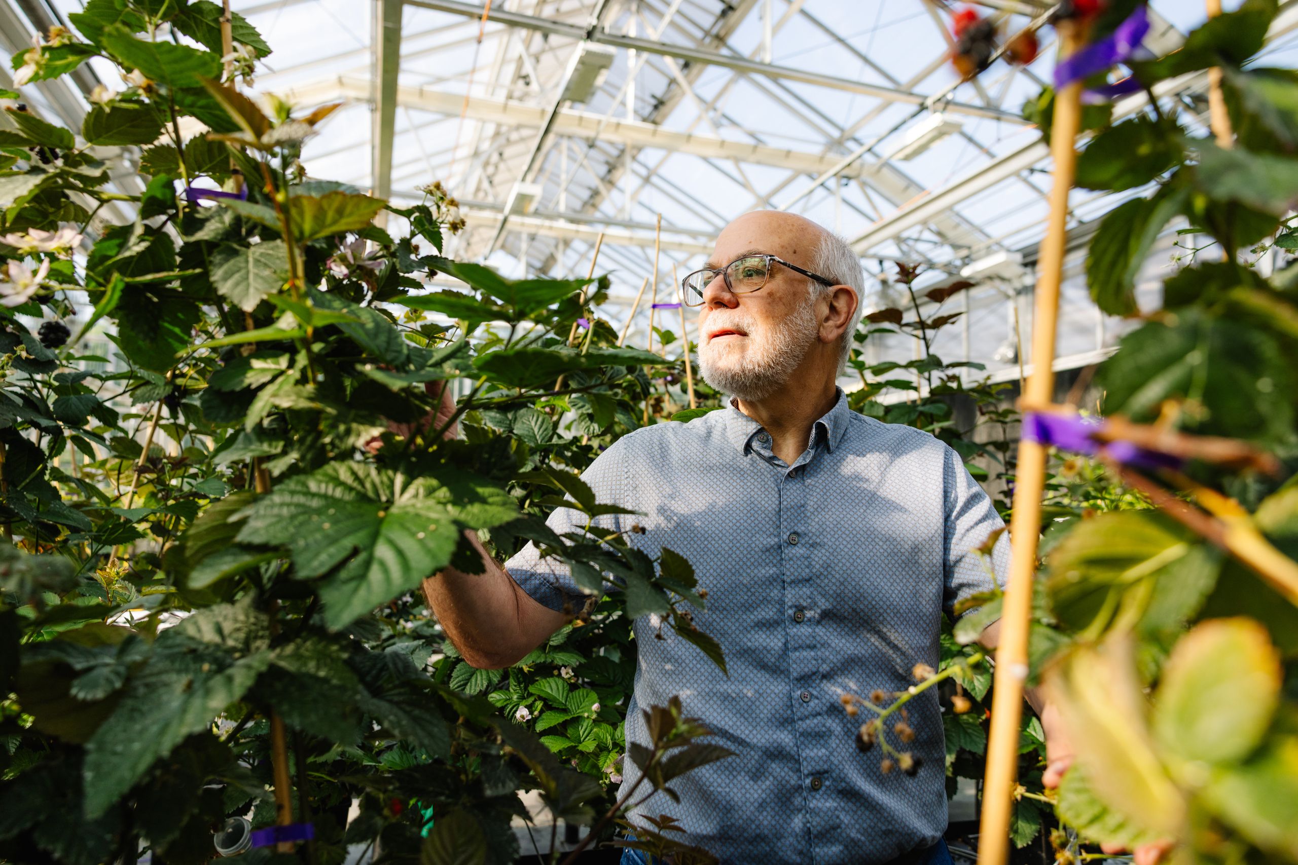Image may contain Güven Kıraç Garden Nature Outdoors Gardening Adult Person Greenhouse and Gardener