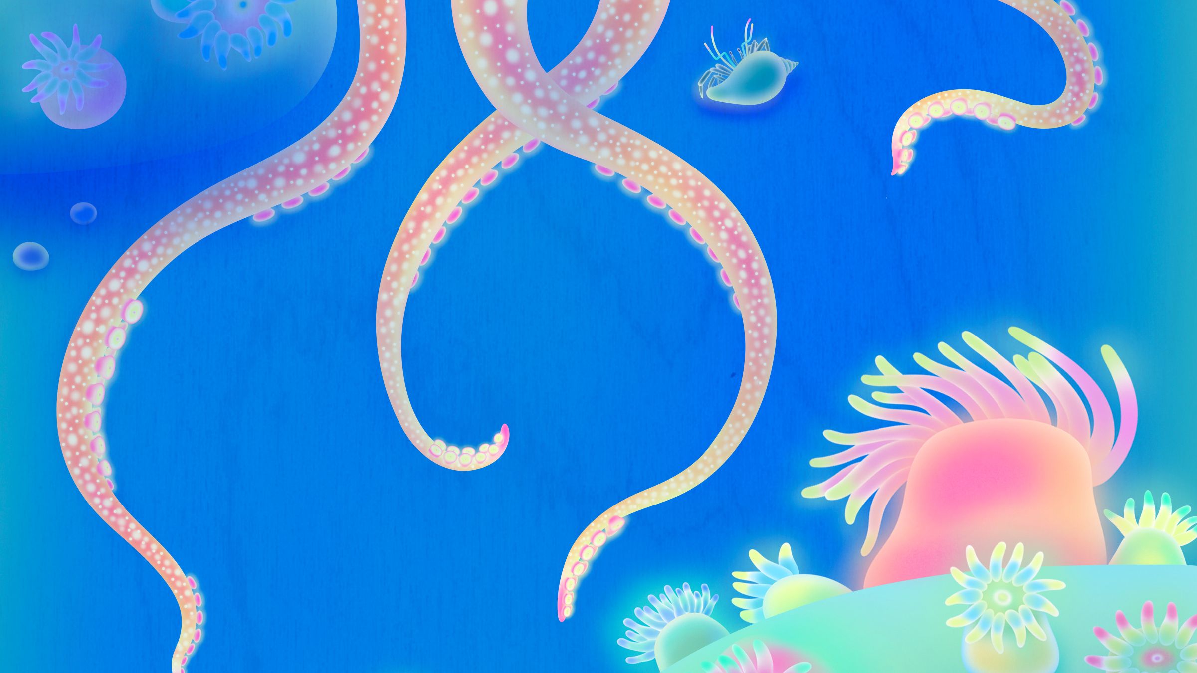 Why Each Octopus Arm Has a Mind of Its Own