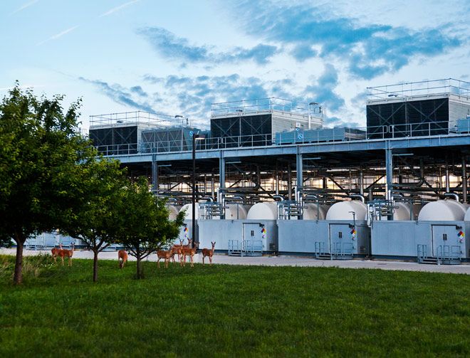 Deer wander in front of data center cooling towers
