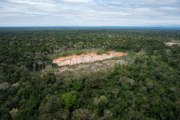 Deforestation from illegal mining is visible in the Tambopata National Reserve in Puerto Maldonado, Peru, Tuesday, Aug. 11, 2026. (AP Photo/Guadalupe Pardo)