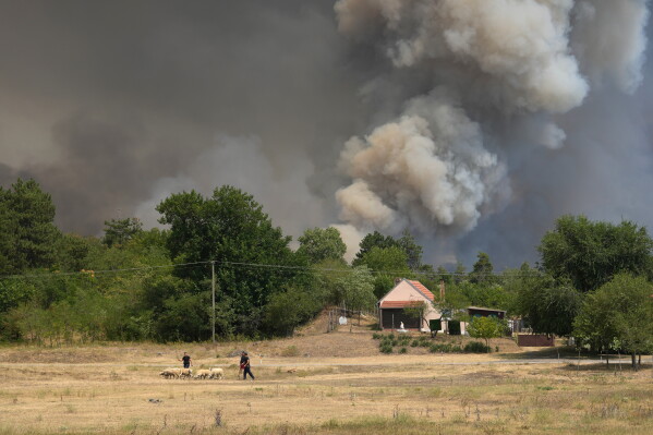 smoke emerges from a forest during a wildfire in Deliblatska Pescara (Deliblato Sands), near the village of Sumarak, 70 kilometers north-west of Belgrade, Serbia, Friday, Aug. 7, 2026. (AP Photo/Darko Vojinovic)