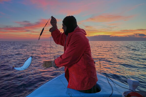 Fisherman Photis Gaitanos catches a toadfish while fishing from his boat off the coast of Larnaca, Cyprus, in the eastern Mediterranean, early Saturday, Dec. 20, 2025. (AP Photo/Petros Karadjias)