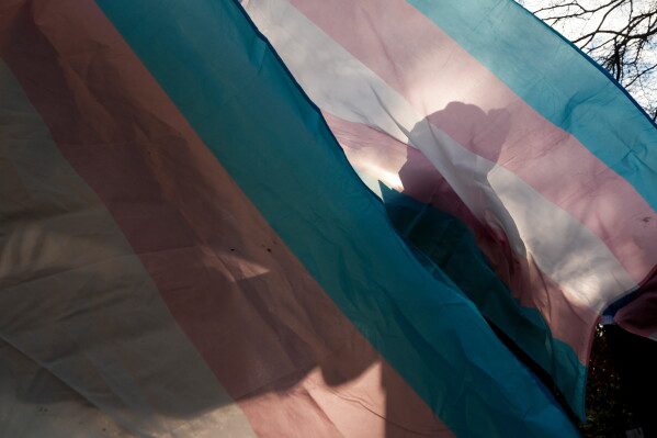 A protester is silhouetted against a trans pride flag during a pro-transgender rights protest outside of Seattle Children's Hospital, Feb. 9, 2025, in Seattle. (AP Photo/Lindsey Wasson, File)