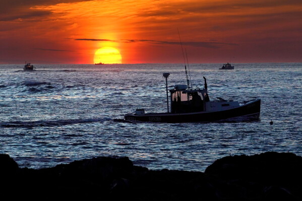 Lobster fishermen work at sunrise, Sept. 8, 2022, off Kennebunkport, Maine. (AP Photo/Robert F. Bukaty, File)
