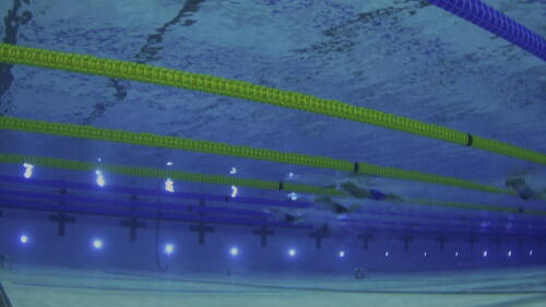 oly_swm100br_aus_260815.jpg